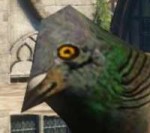 31.jpeg