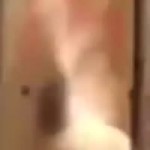 parrotmad.mp4