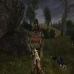 stalkerpulya2.webm