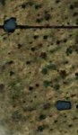 kill the garry.jpg