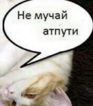 NGAqDhTibgk.jpg