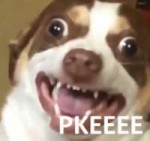 PKEEE.jpg