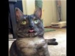 5PfPhbThY18[1].jpg