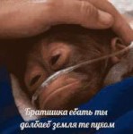 15066803406880s[1].jpg