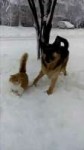 201801080114s1funonccimgorig201712275a4396fe29fd1.gif