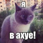 Без названия.jpg
