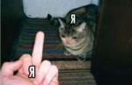 15372761488701.png