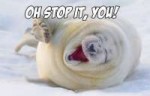 1537603547995.png