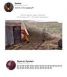 stalker-other-STALKER-фэндомы-4315410.jpeg