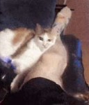 1537724763148.gif