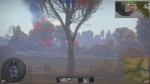 .webm