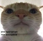 1537779329317.png