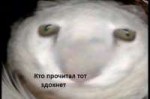 1537789441985.jpg