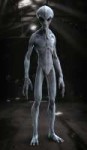 introduction-to-creature-sc.jpg