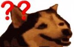 Husky.png