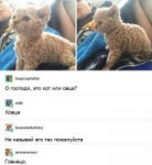 Ковца.png