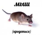 1537978652808.png