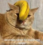 1537978652809.png
