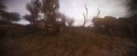 ssmonol09-26-1812-55-57(k00marsh).jpg