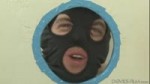 bandit.webm