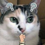15089514301540.png
