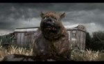 dogdoc.jpg