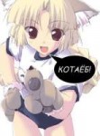 котаёб.jpeg