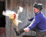 мужыки в пиджаках (2).jpg