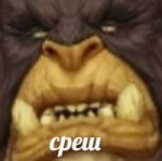  .jpg