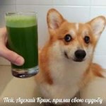 DjW7xcNXcAAq9OW.jpg