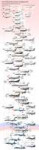 InKg7ALCA5FrwT8pLGsTu0f-lNd629Yl6rm8tpoUOHI.jpg