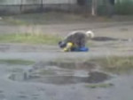 15386432451320.webm