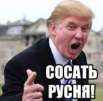 DawAGzvXkAA61lo.jpg