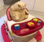s-imwNzToB4.jpg