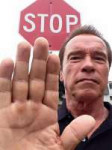 arnold stop.jpg
