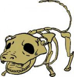 slowpokeskeletonbykostyurik-d9qc4dj.png