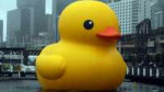 RubberDuck(8374802487).jpg