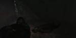 15317686136281.webm