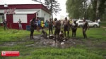 1550937042675.mp4