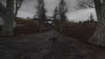 ком макспейн.webm