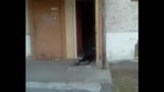 14790569192801.webm