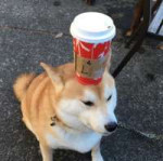 8xnuOyPXwgE.jpg