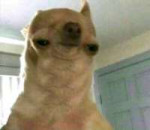 1439617464074.jpeg