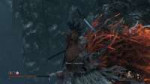 sekiro 2019-04-04 00-35-10-79.jpg