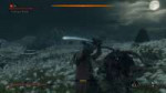 sekiro 2019-04-04 15-58-38-46.jpg