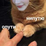 image.jpeg