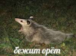 DzwrOMCXgAA8GPw[1].jpg