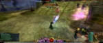 Guild Wars 2 2019.05.07 - 06.30.22.07.webm