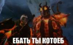 kot.jpg