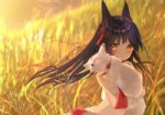 miko-azur-lane-nagato-animal-ears-field-anime-games-26990.jpeg